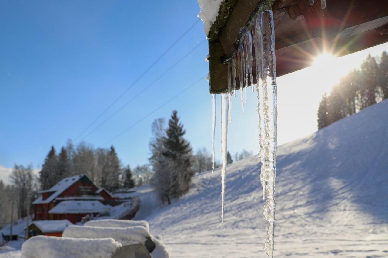 Apartman Na Svahu, Krkonose Zacler Exterior photo