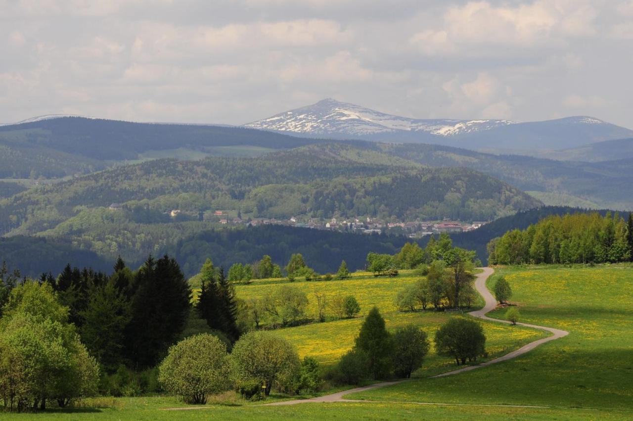 Apartman Na Svahu, Krkonose Zacler Exterior photo