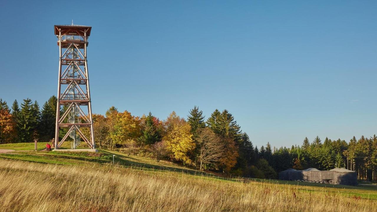 Apartman Na Svahu, Krkonose Zacler Exterior photo